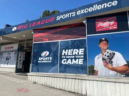 Big League Sport Excellence