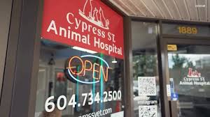 Cypress St. Animal Hospital Vancouver