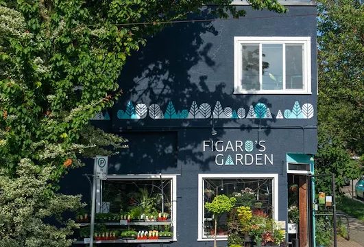 Figaro’s Garden copy